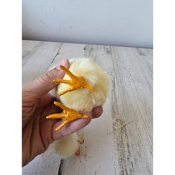 Vintage realistic chick chicken lifelike life-size - Picture 10 of 10